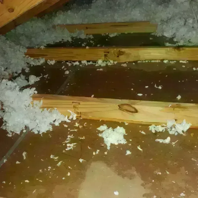 Attic Water Damage in Copley, OH