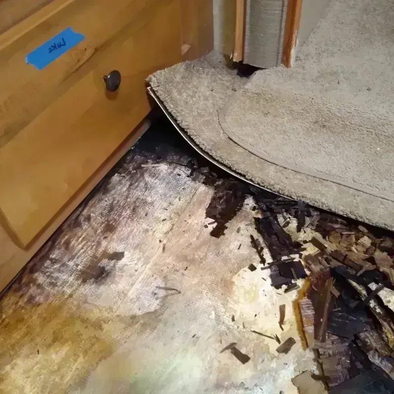 Wood Floor Water Damage in Copley, OH